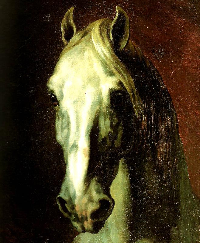 charles emile callande tete de cheval blanc oil painting picture